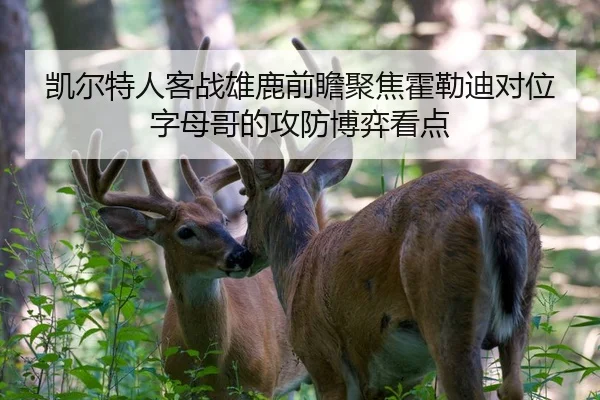 凯尔特人客战雄鹿前瞻聚焦霍勒迪对位字母哥的攻防博弈看点