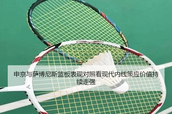 申京与萨博尼斯篮板表现对照看现代内线策应价值持续走强
